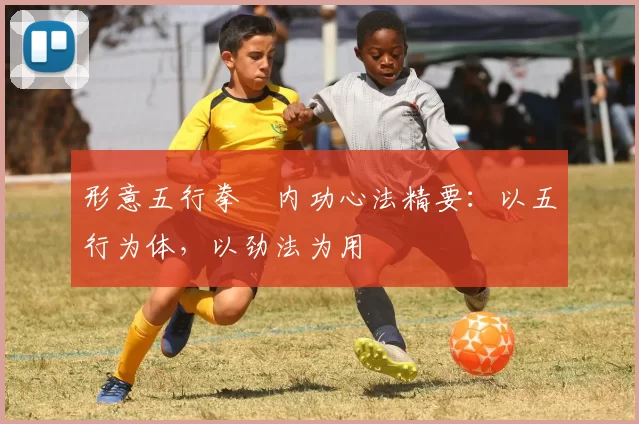 形意五行拳・内功心法精要：以五行为体，以劲法为用