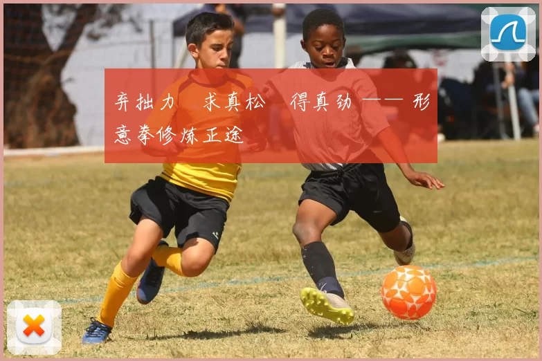 弃拙力・求真松・得真劲 —— 形意拳修炼正途
