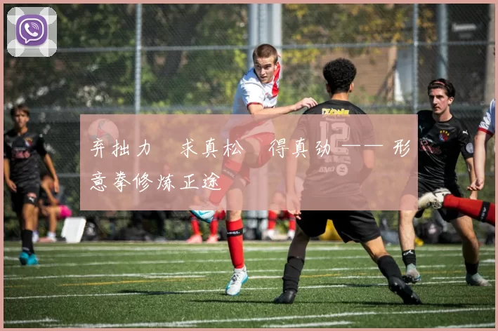 弃拙力・求真松・得真劲 —— 形意拳修炼正途