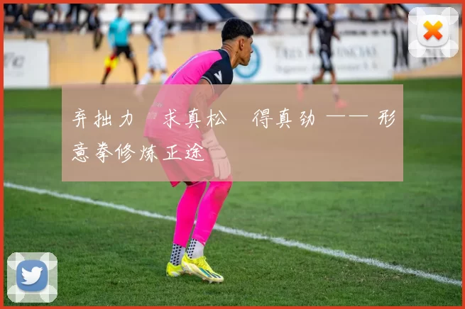 弃拙力・求真松・得真劲 —— 形意拳修炼正途