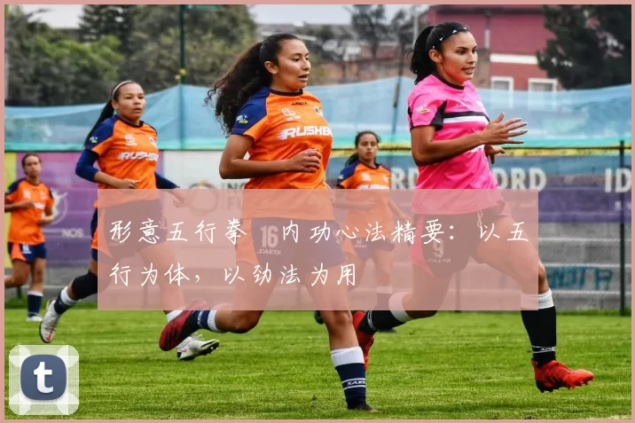 形意五行拳・内功心法精要：以五行为体，以劲法为用