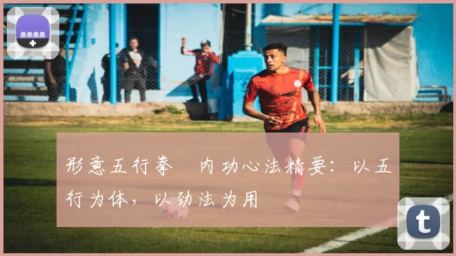 形意五行拳・内功心法精要：以五行为体，以劲法为用