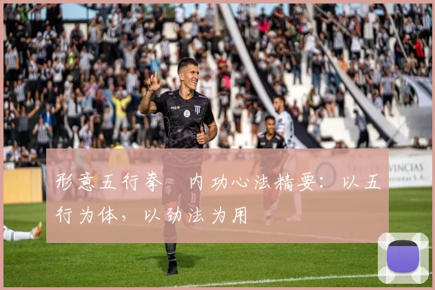 形意五行拳・内功心法精要：以五行为体，以劲法为用