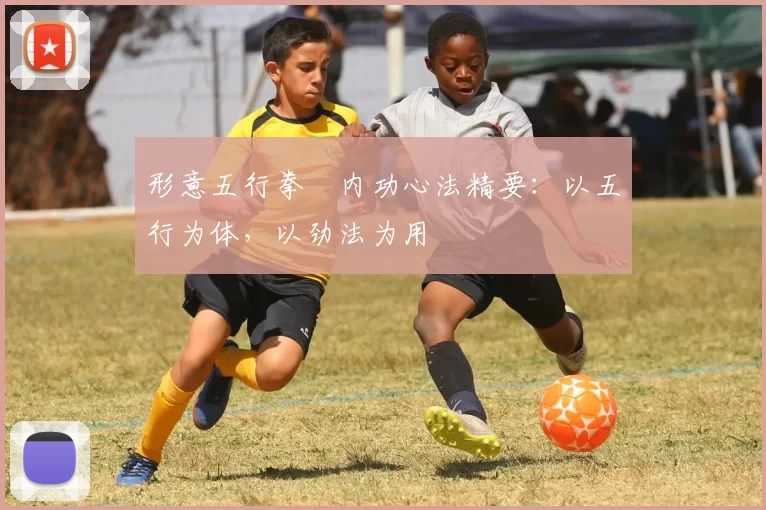 形意五行拳・内功心法精要:以五行为体,以劲法为用