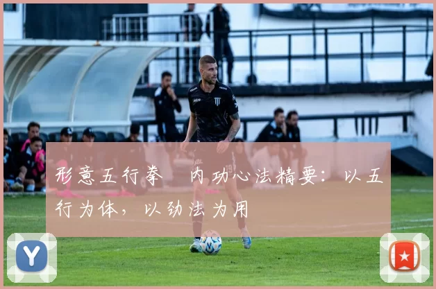 形意五行拳・内功心法精要:以五行为体,以劲法为用