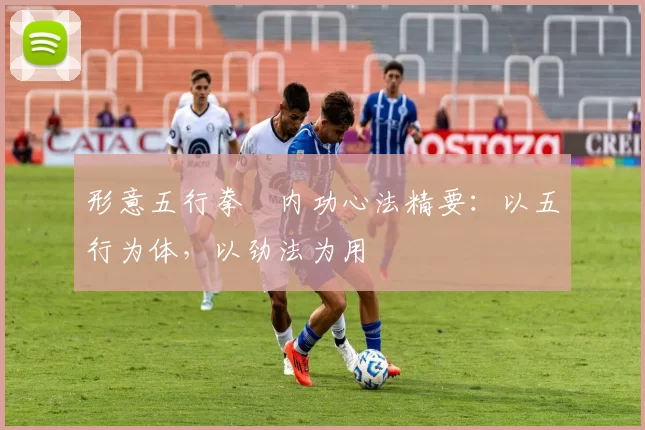 形意五行拳・内功心法精要：以五行为体，以劲法为用