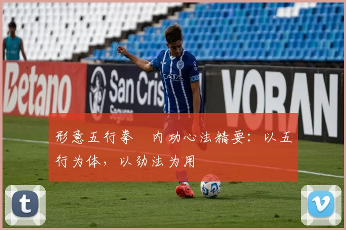 形意五行拳・内功心法精要:以五行为体,以劲法为用