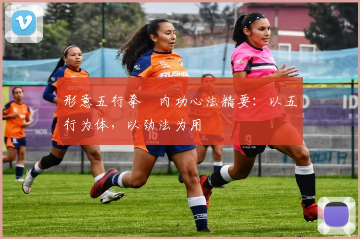 形意五行拳・内功心法精要：以五行为体，以劲法为用