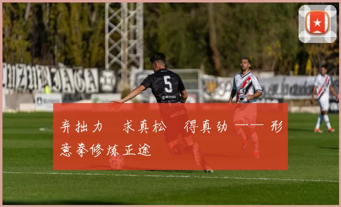 弃拙力・求真松・得真劲 —— 形意拳修炼正途