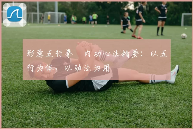 形意五行拳・内功心法精要：以五行为体，以劲法为用