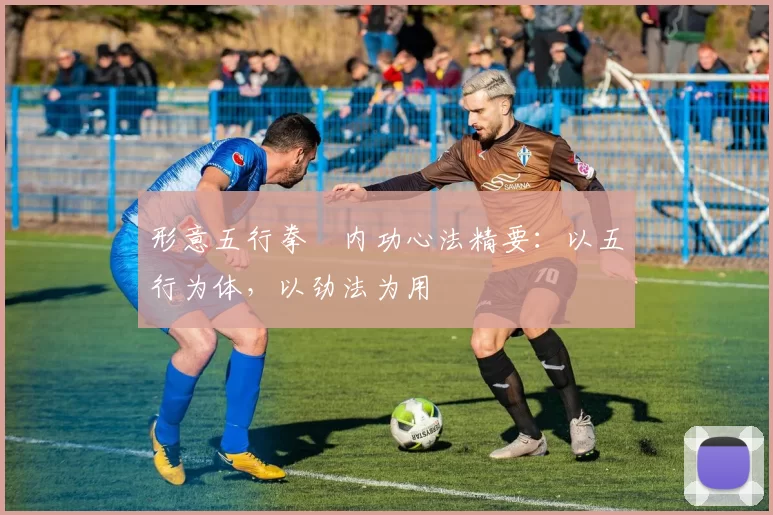 形意五行拳・内功心法精要：以五行为体，以劲法为用