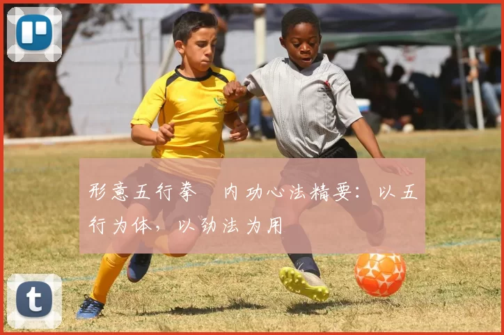 形意五行拳・内功心法精要：以五行为体，以劲法为用