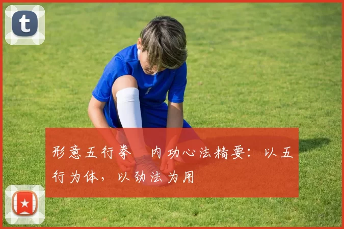 形意五行拳・内功心法精要:以五行为体,以劲法为用