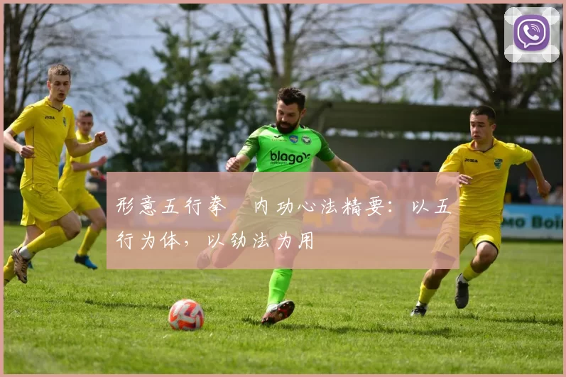 形意五行拳・内功心法精要：以五行为体，以劲法为用