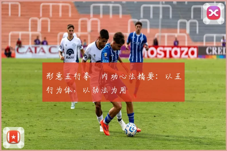 形意五行拳・内功心法精要:以五行为体,以劲法为用