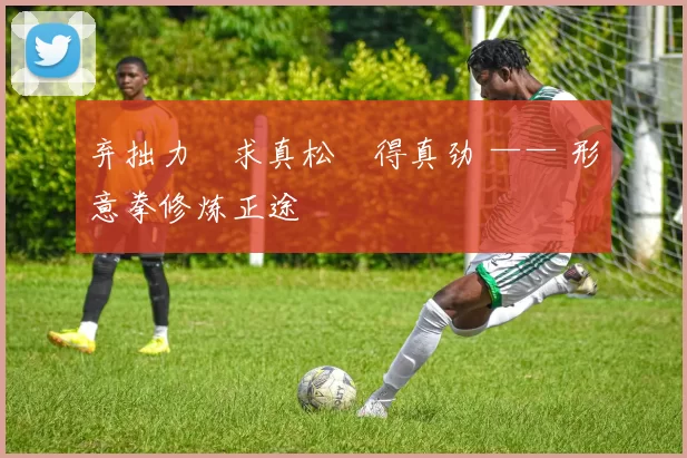 弃拙力・求真松・得真劲 —— 形意拳修炼正途