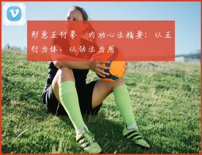 形意五行拳・内功心法精要:以五行为体,以劲法为用