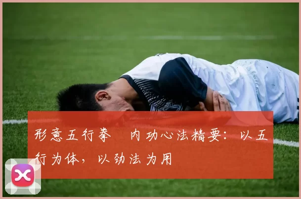 形意五行拳・内功心法精要：以五行为体，以劲法为用