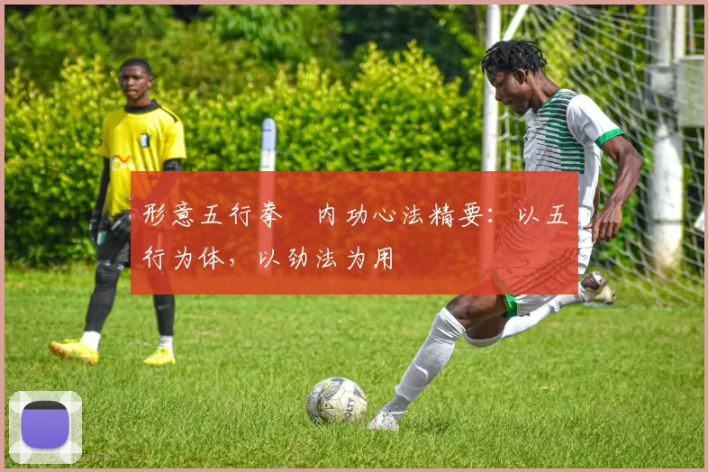 形意五行拳・内功心法精要:以五行为体,以劲法为用