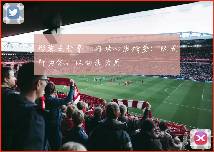 形意五行拳・内功心法精要:以五行为体,以劲法为用