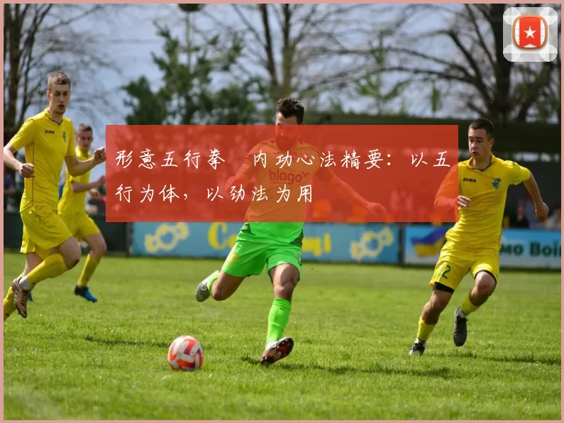 形意五行拳・内功心法精要：以五行为体，以劲法为用