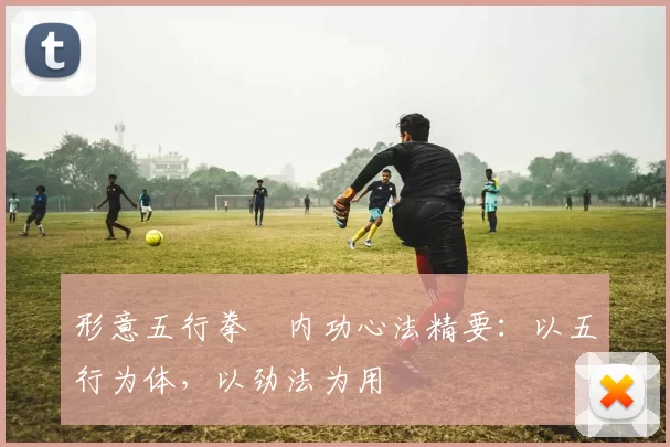 形意五行拳・内功心法精要：以五行为体，以劲法为用