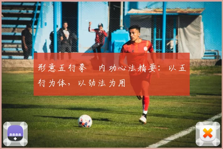 形意五行拳・内功心法精要：以五行为体，以劲法为用