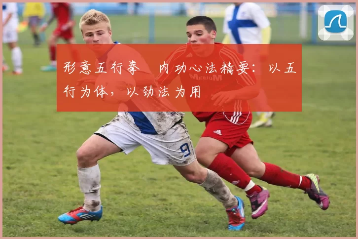 形意五行拳・内功心法精要：以五行为体，以劲法为用