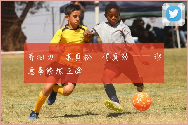 弃拙力・求真松・得真劲 —— 形意拳修炼正途