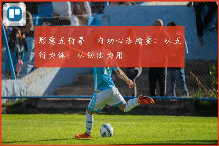 形意五行拳・内功心法精要：以五行为体，以劲法为用