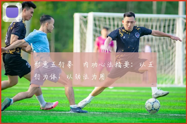 形意五行拳・内功心法精要：以五行为体，以劲法为用