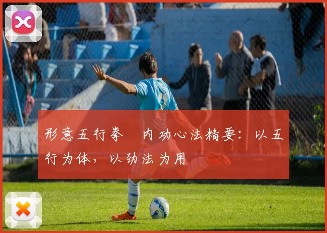 形意五行拳・内功心法精要：以五行为体，以劲法为用