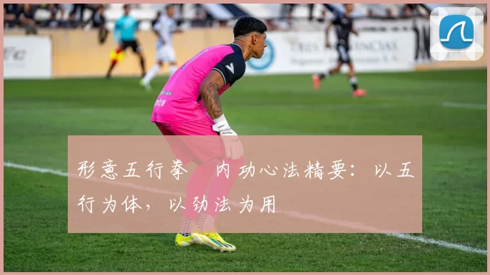 形意五行拳・内功心法精要：以五行为体，以劲法为用