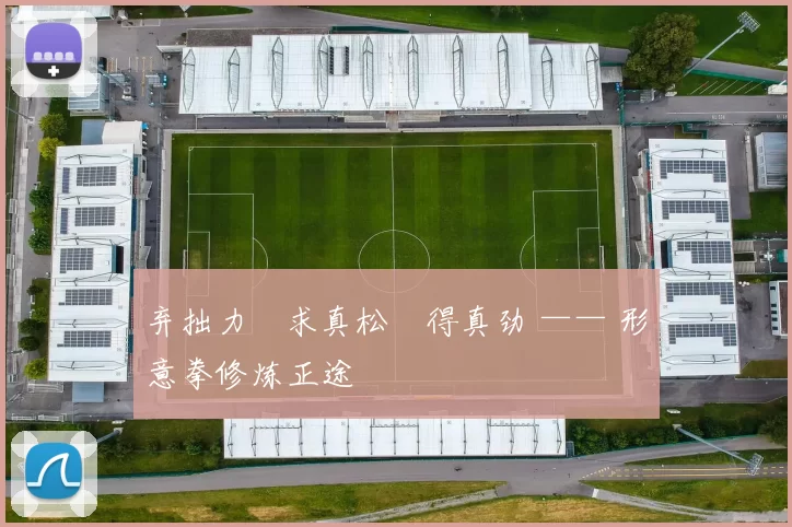 弃拙力・求真松・得真劲 —— 形意拳修炼正途