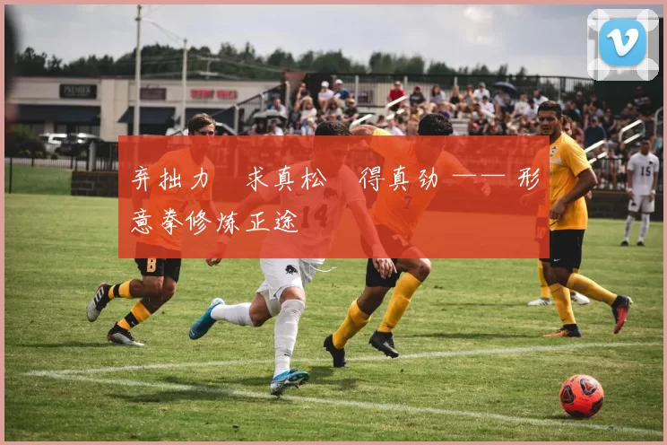 弃拙力・求真松・得真劲 —— 形意拳修炼正途