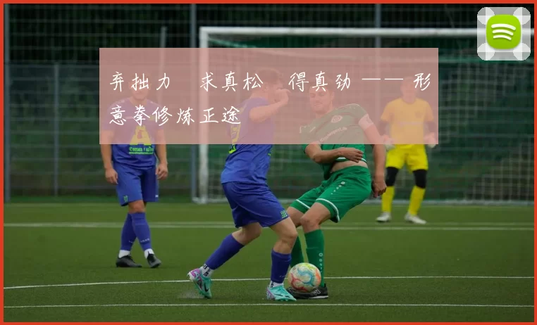 弃拙力・求真松・得真劲 —— 形意拳修炼正途