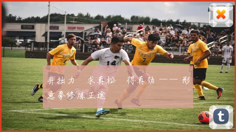 弃拙力・求真松・得真劲 —— 形意拳修炼正途