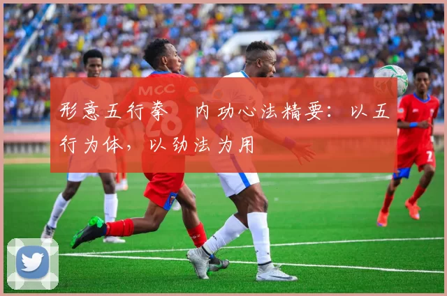 形意五行拳・内功心法精要:以五行为体,以劲法为用