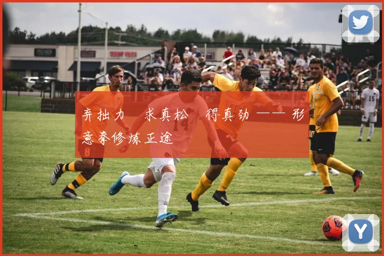 弃拙力・求真松・得真劲 —— 形意拳修炼正途