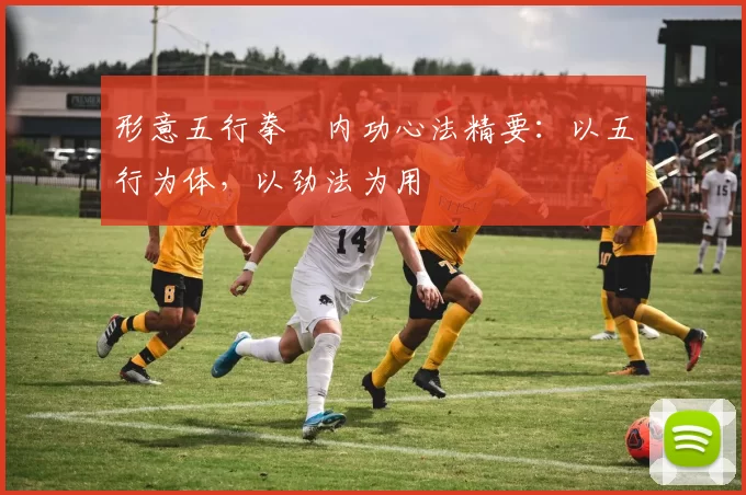 形意五行拳・内功心法精要：以五行为体，以劲法为用