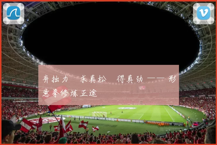 弃拙力・求真松・得真劲 —— 形意拳修炼正途