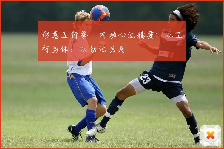 形意五行拳・内功心法精要：以五行为体，以劲法为用