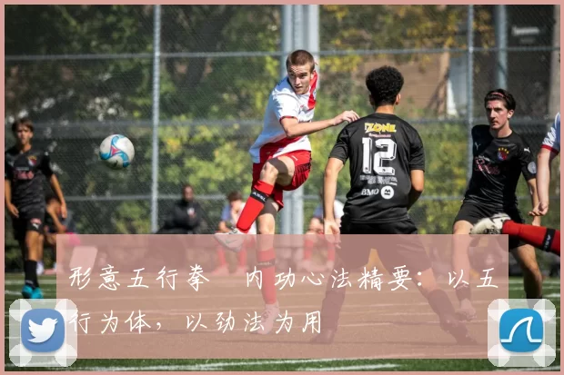 形意五行拳・内功心法精要：以五行为体，以劲法为用