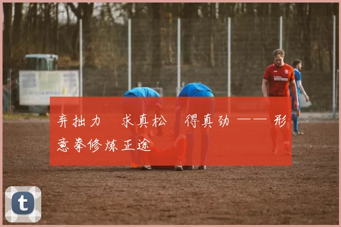 弃拙力・求真松・得真劲 —— 形意拳修炼正途