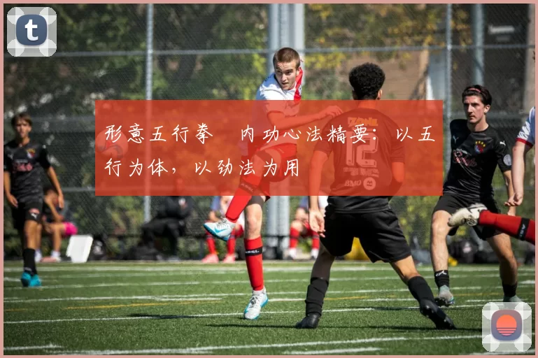 形意五行拳・内功心法精要：以五行为体，以劲法为用