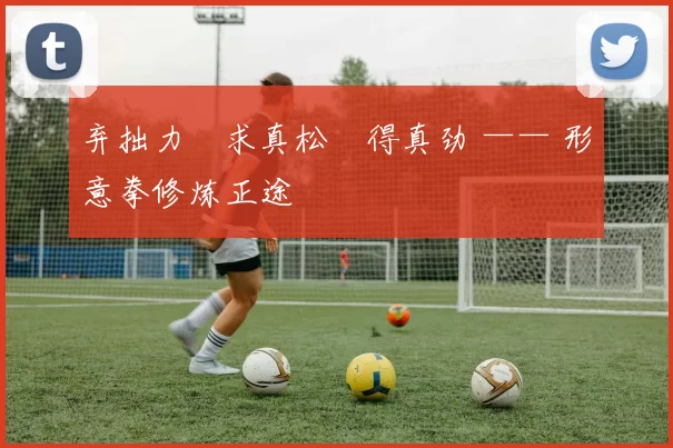 弃拙力・求真松・得真劲 —— 形意拳修炼正途