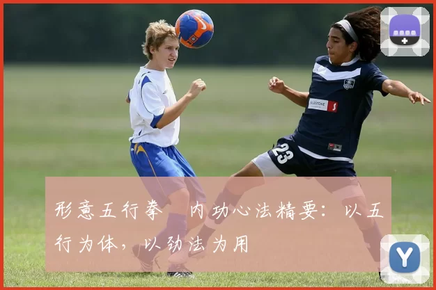 形意五行拳・内功心法精要:以五行为体,以劲法为用