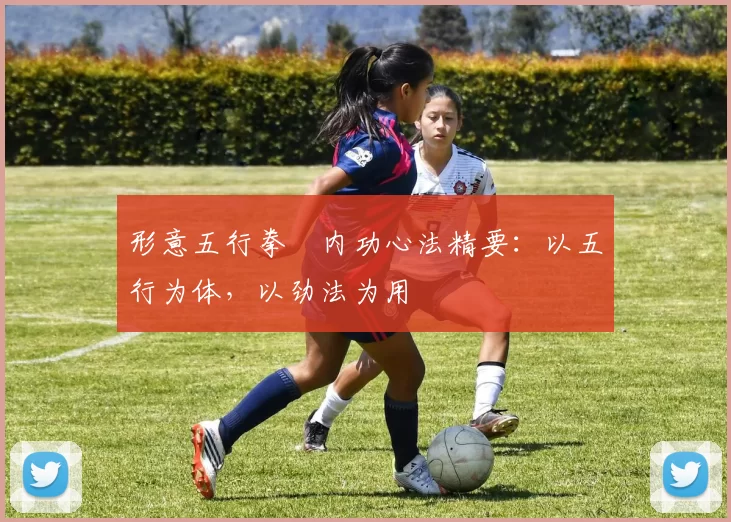 形意五行拳・内功心法精要:以五行为体,以劲法为用