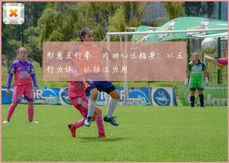 形意五行拳・内功心法精要：以五行为体，以劲法为用