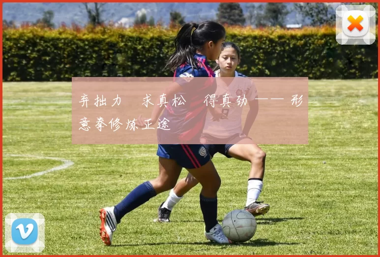 弃拙力・求真松・得真劲 —— 形意拳修炼正途